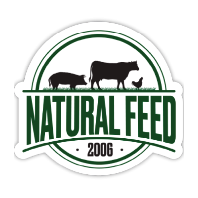 logo3