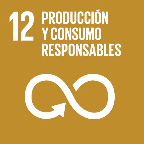S SDG Icons 01 12