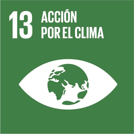 S SDG Icons 01 13