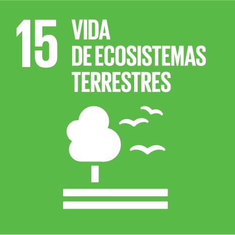 S SDG Icons 01 15